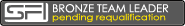 Bronze Team Leader