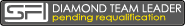 Diamond Team Leader