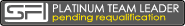 Platinum Team Leader
