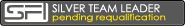 Silver Team Leader